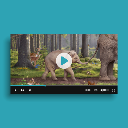 Olifantje in het bos - Videoclip